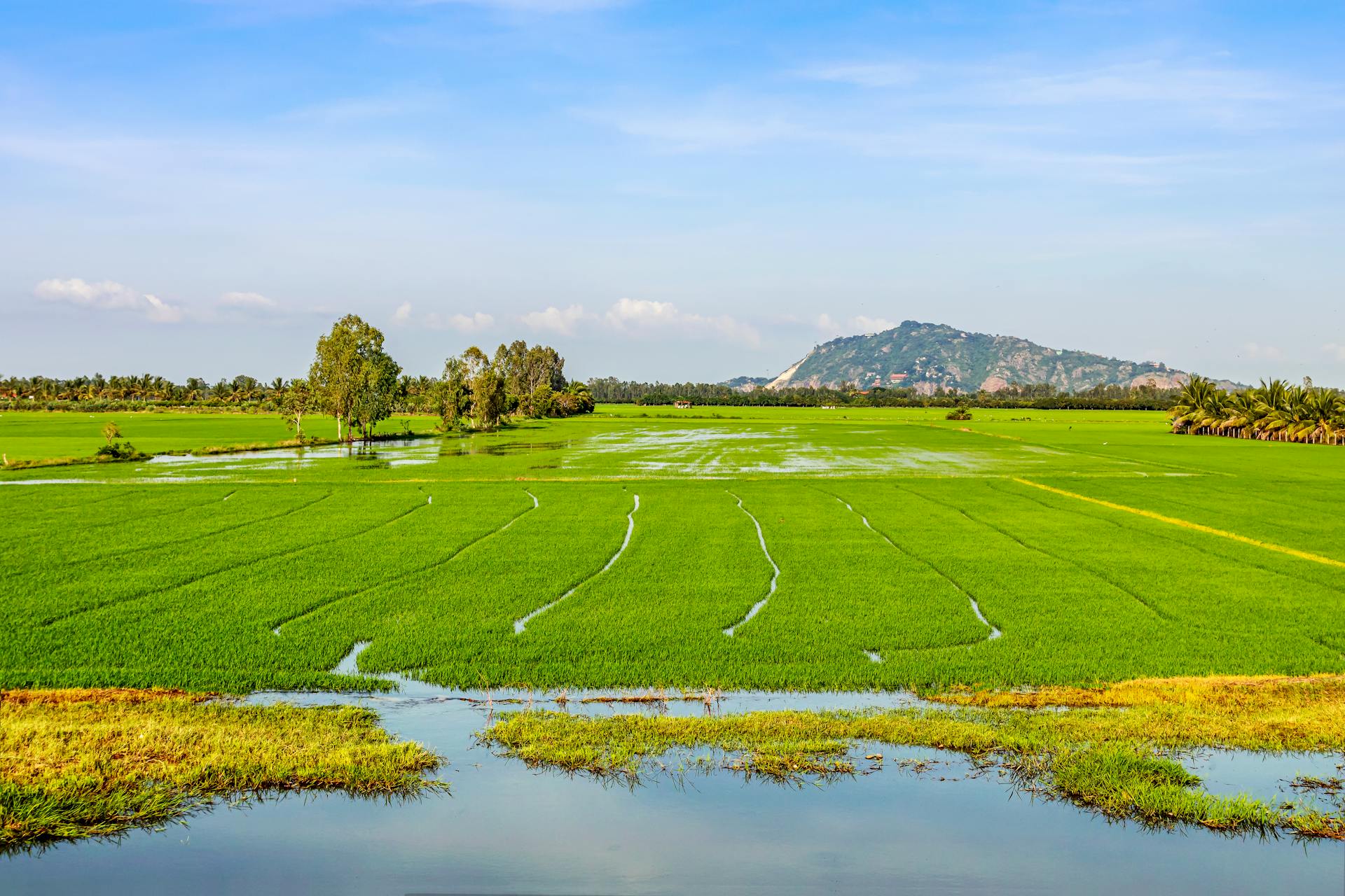 Begin your visa-prepared day with Vietnam’s tranquil ambiance